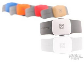 小玄宠物卫士宠物定位器运动跟踪 报价、参数、评测与论坛指南