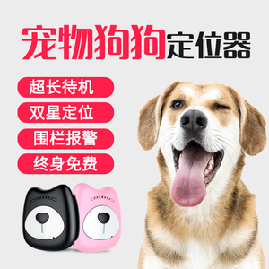 守护爱宠的安全 宠物定位项圈与定位器的实用指南